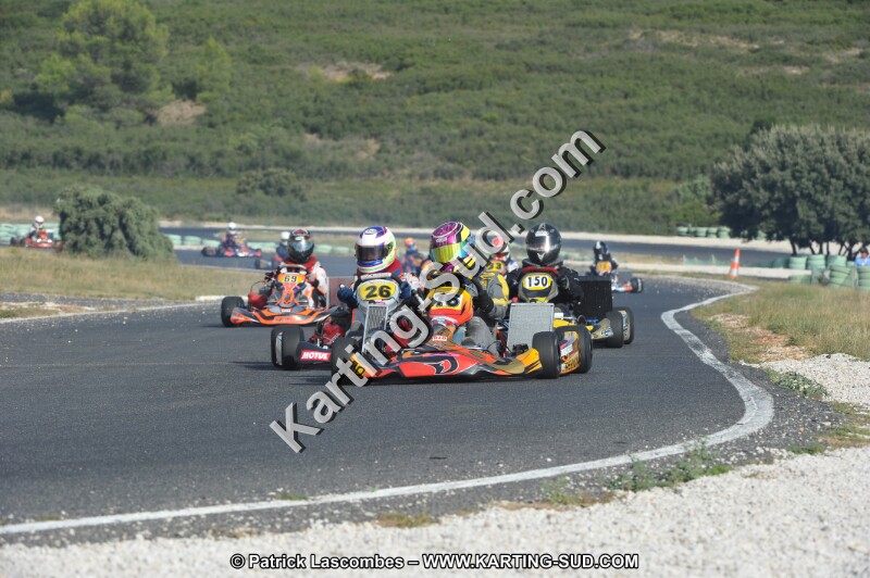 DSC (3929).JPG